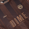 Load image into Gallery viewer, Team Jersey (Bronze)