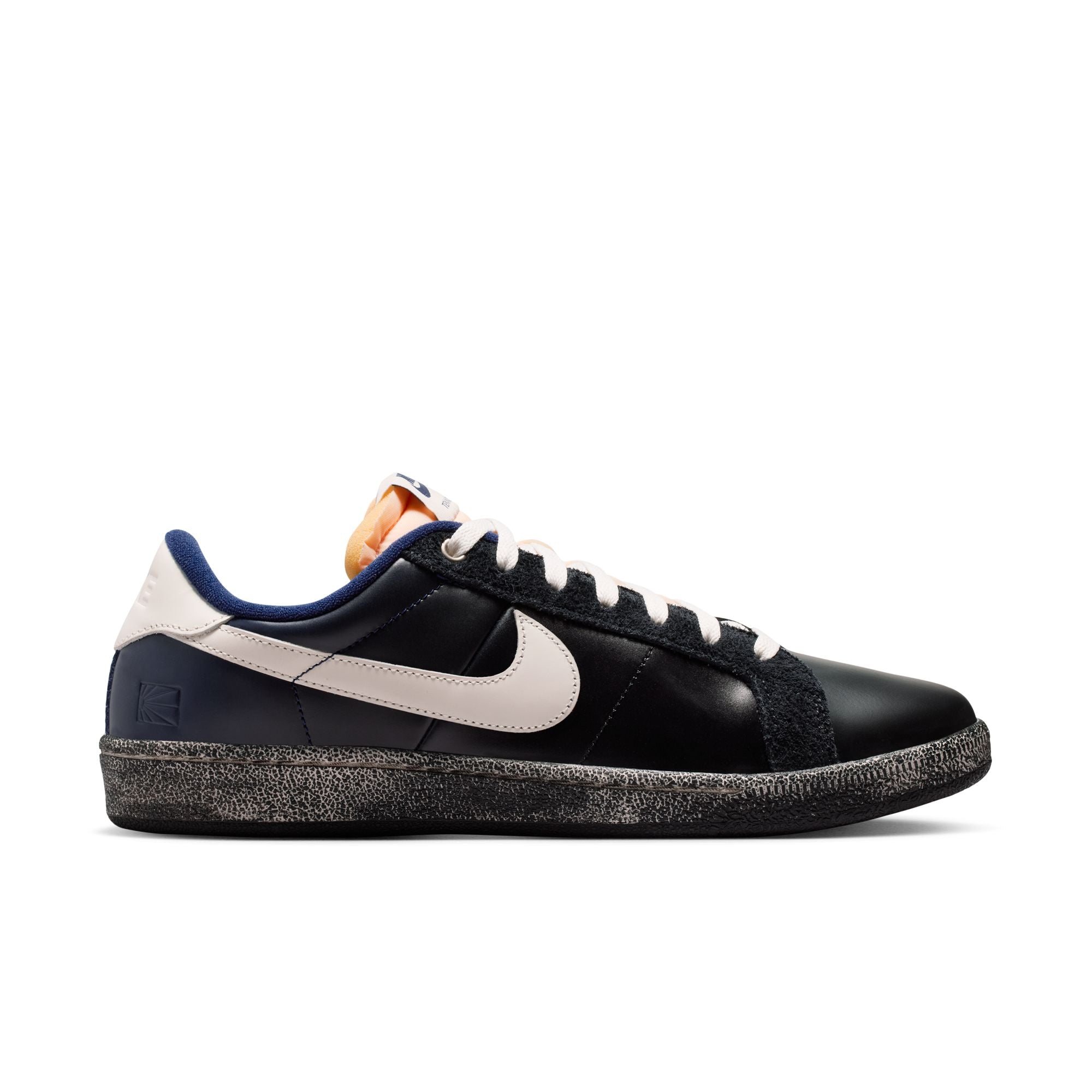 Dunk Low Pro (Foudre/Gris loup-Turquoise denim)