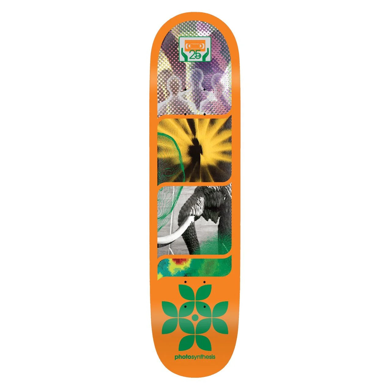 Photosynthesis Deck 8.5"