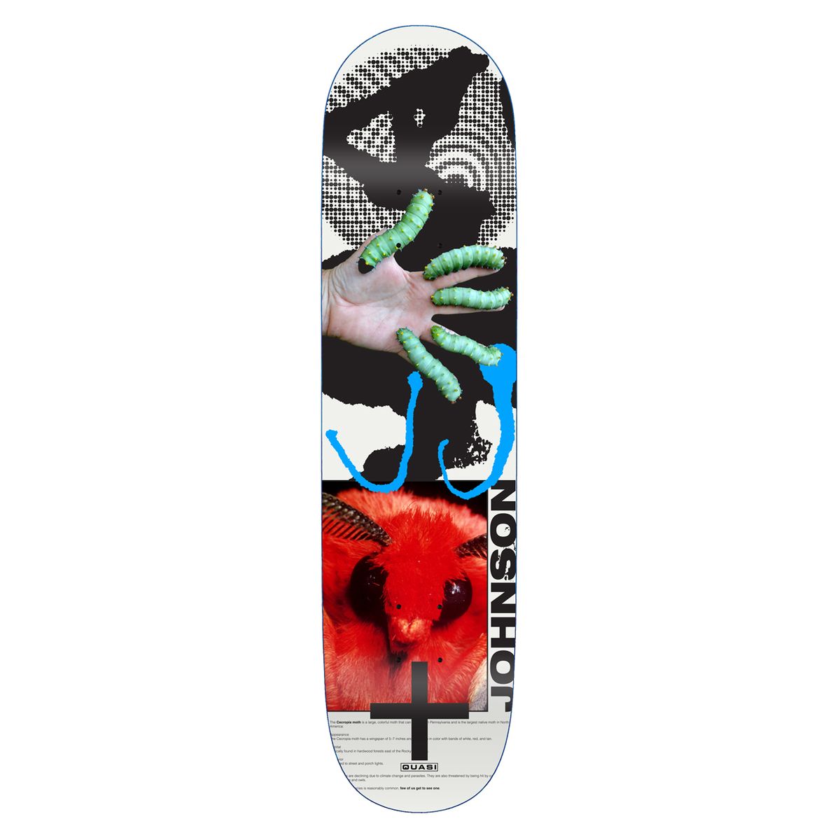 Johnson 'Mothhead' 8.25"